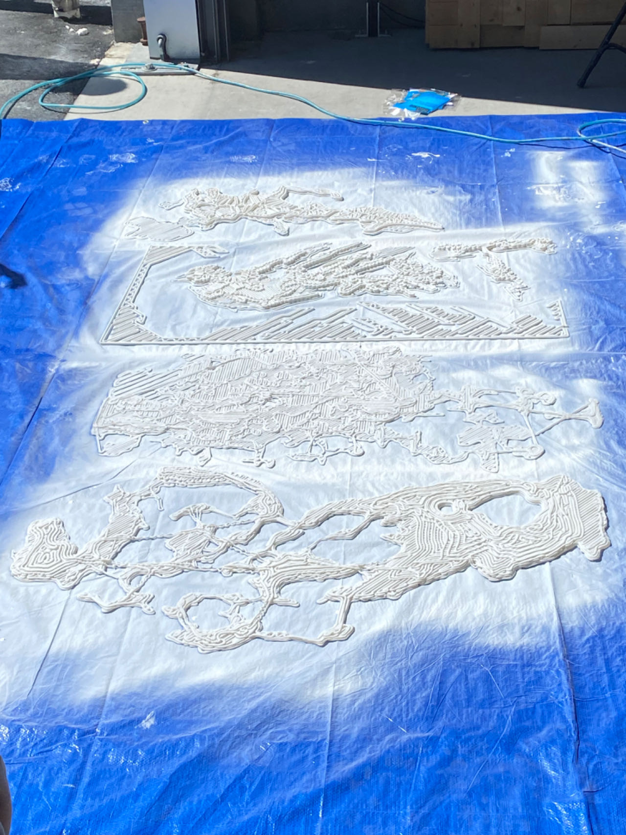Project image