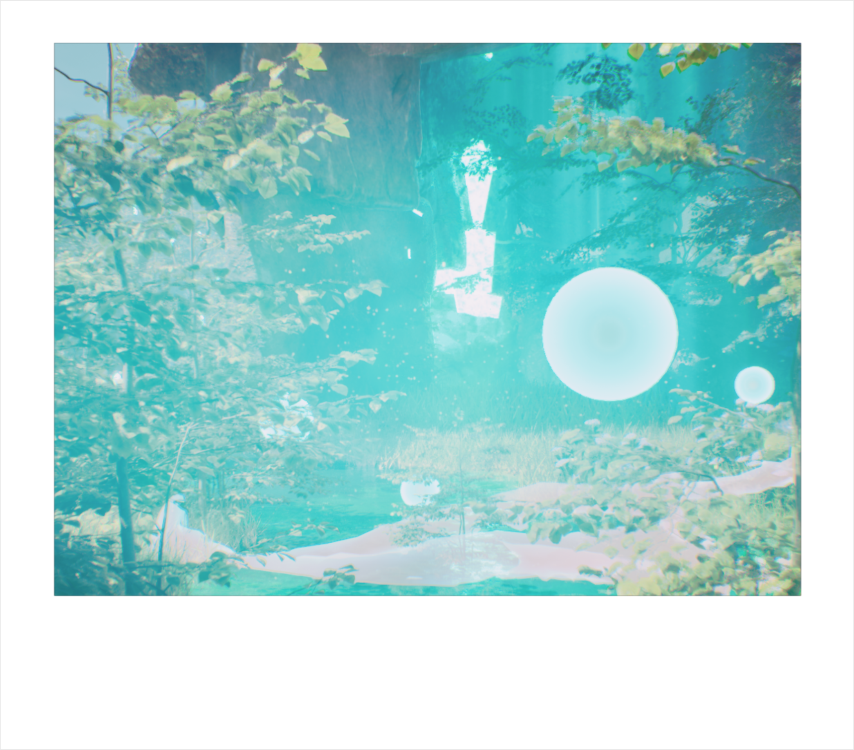 Project image